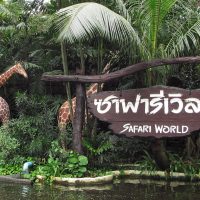 Nikmati Serunya Melihat Binatang Di Safari World Thailand