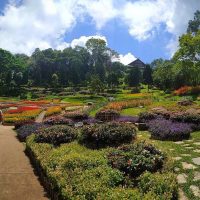 Mae Fah Luang Garden - Taman Indah Di Chiang Rai Thailand